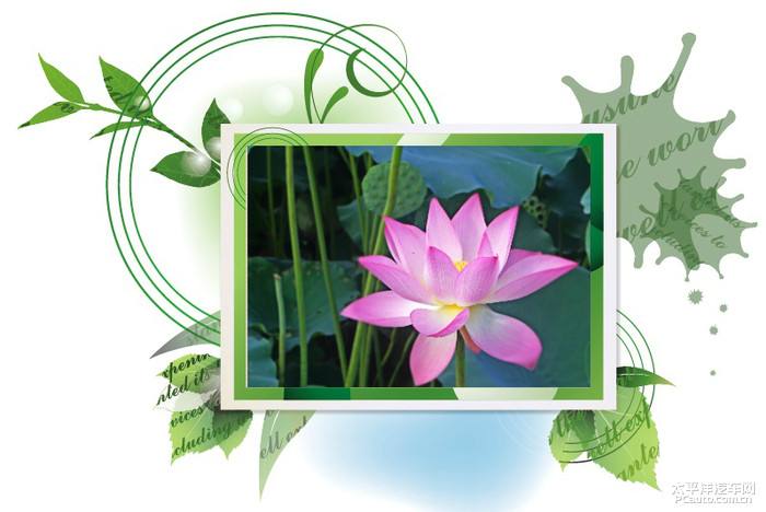 讲解！定格的意思“纯一不杂”