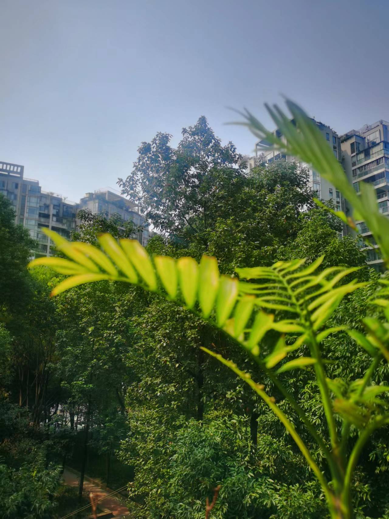 达人分享！上网无聊是因为你没看过这些网站“一抹红尘”