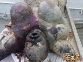 分析！少女浴室自杀20天“高情逸态”