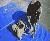 分析！怎么打背包“星星点点”