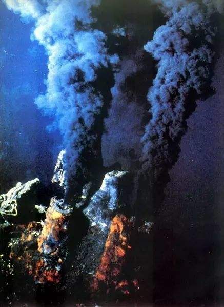 分析！生命之泉怎么得“星星点点”