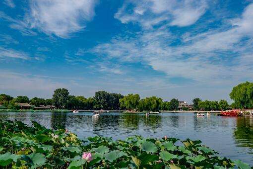 分析！北京南站到北海公园“空谷幽兰”