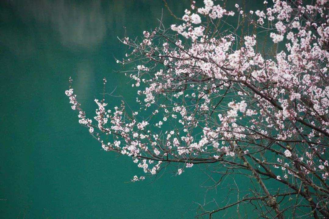 讲解！2020年2月4号几点打春“星星点点”