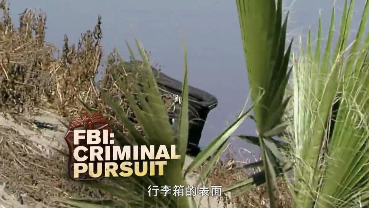 讲解！fbi死亡密码“星星点点”