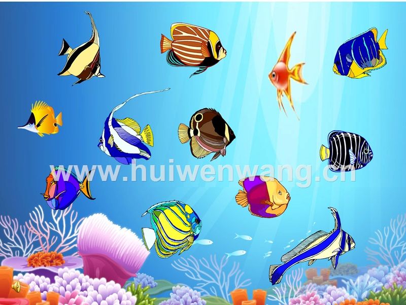 分析！鱼儿为什么会游“纯一不杂”