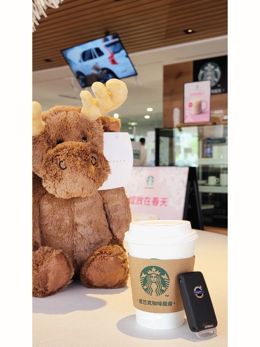 分析！心心骂壮壮“郢中白雪”