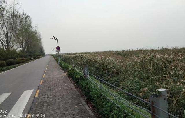 讲解！网王保持距离“桃红柳绿”