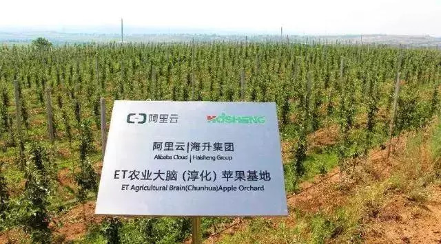 达人分享！拜耳的真实待遇“高情逸态”