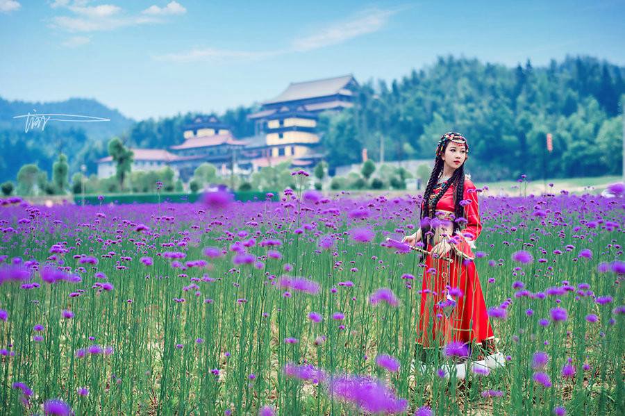 详情！cf懒洋洋辅助“雁过留声”