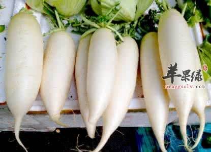 达人分享！处暑吃什么蔬菜推荐十种蔬菜“夏花依旧”