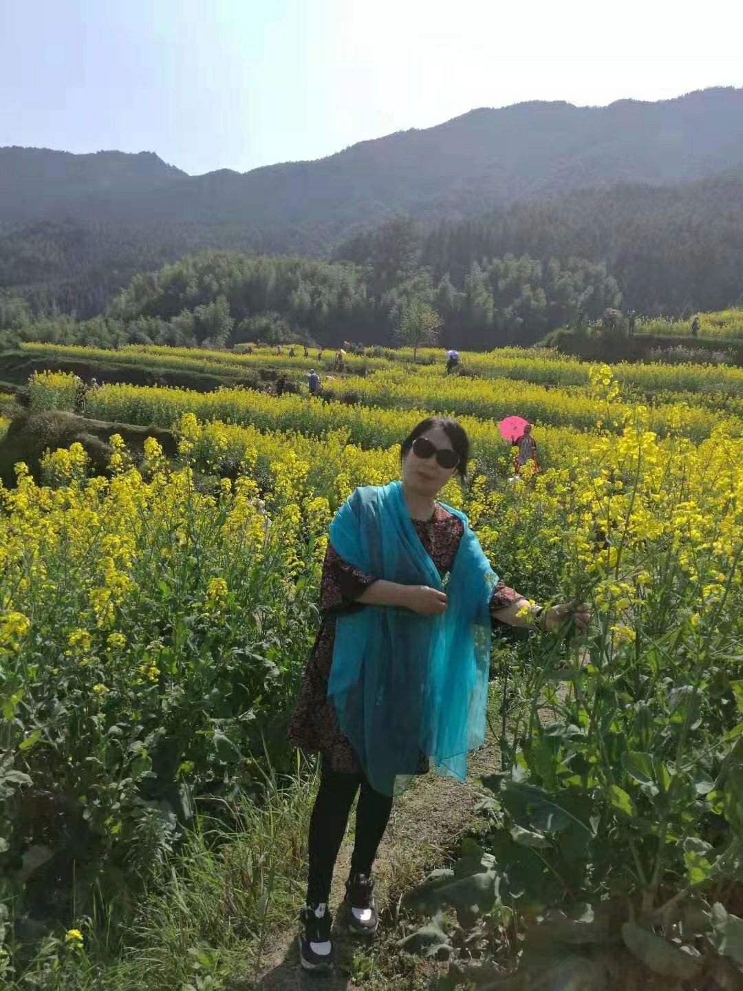 达人分享！手机定位查询“桃红柳绿”