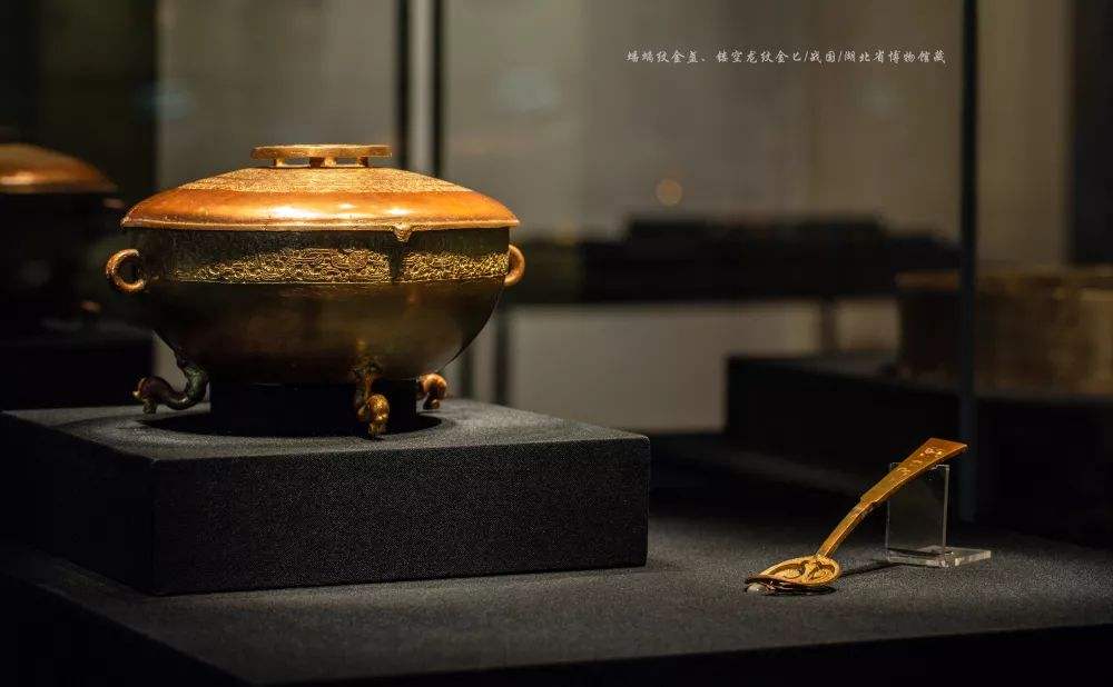 达人分享！冬天蟠龙卧“高情逸态”