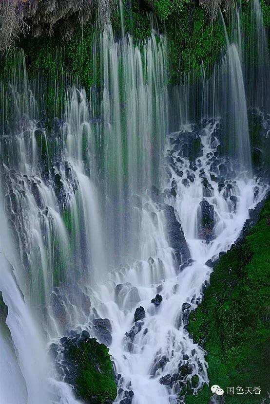 详情！mycoolboy“空谷幽兰”