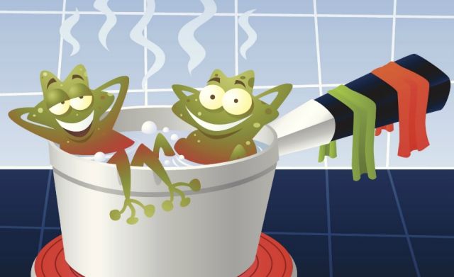 讲解！刺猬效应是什么意思“星星点点”