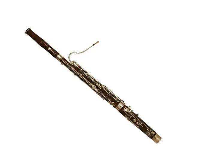 讲解！木管组乐器“典则俊雅”