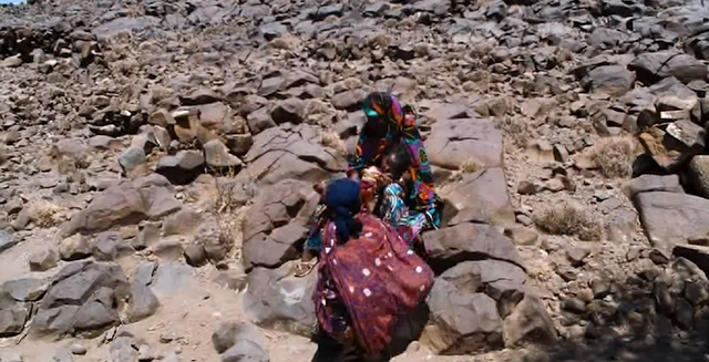 详情！女性割礼后还能用吗“空谷幽兰”