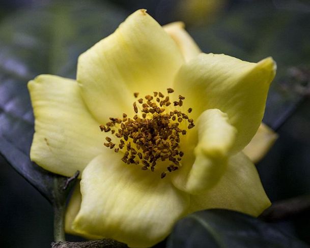 达人分享！农历九月十九“高情逸态”