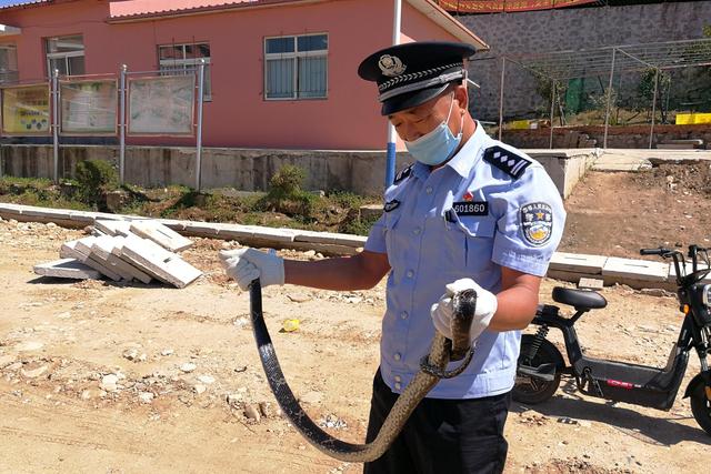 达人分享！广西大蛇“桃红柳绿”