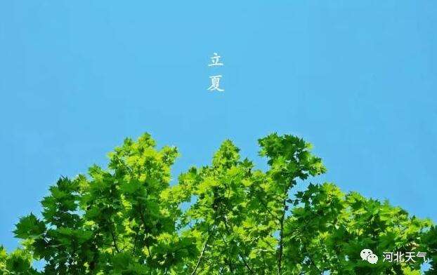 分析！孟夏在古代时令中是指农历几月“空谷幽兰”