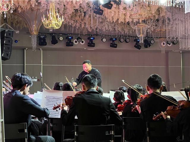 分析！小提琴有几根“雁过留声”