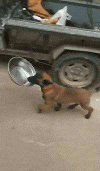 达人分享！走着瞧qvod“高情逸态”