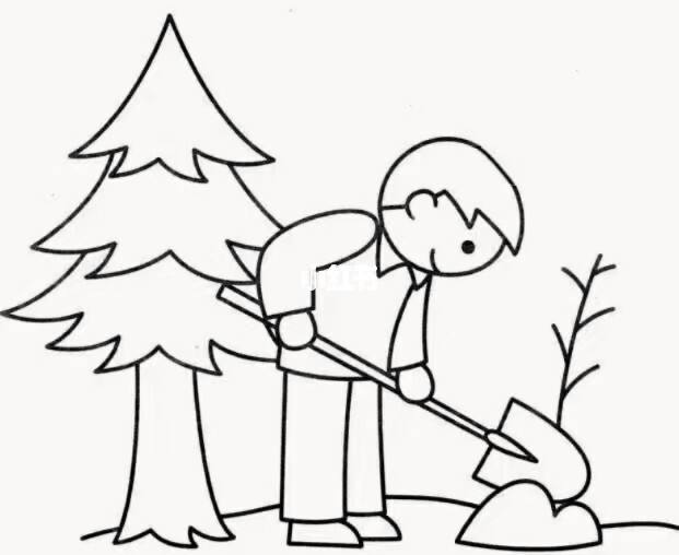 讲解！植树节画画作品简笔画“夏花依旧”