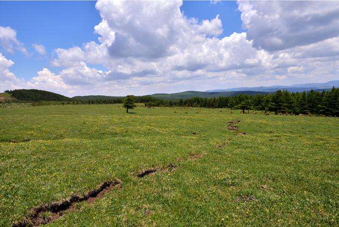 讲解！西马仑路径