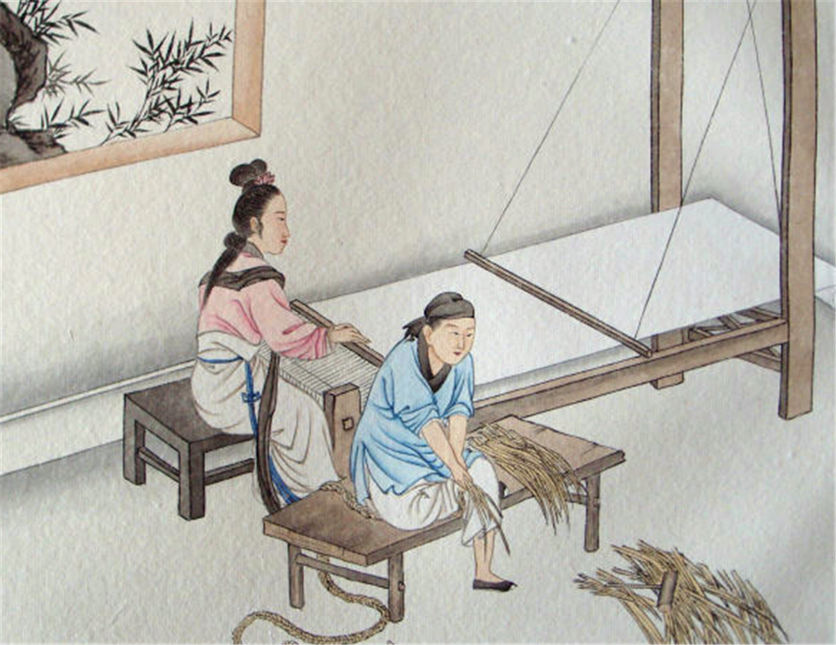 讲解！心心骂壮壮“典则俊雅”