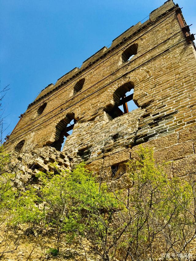 详情！冬天蟠龙卧“空谷幽兰”