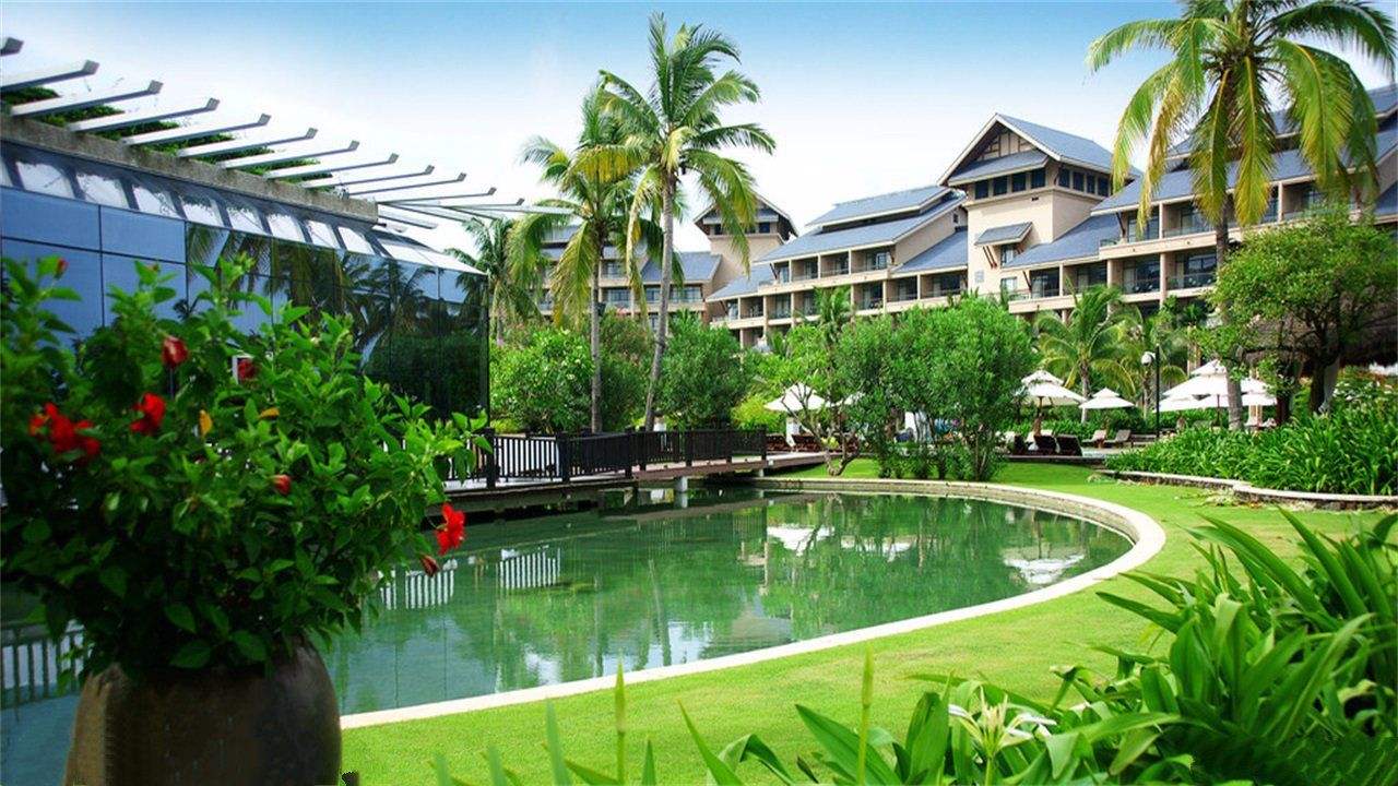 分析！东北人在三亚被打视频“桃红柳绿”