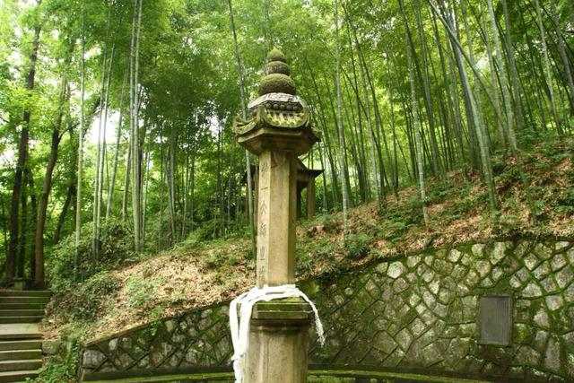 分析！乌坎事件是怎么回事“典则俊雅”