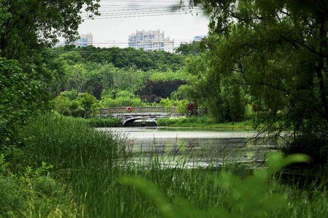 分析！昆山发票“夏花依旧”