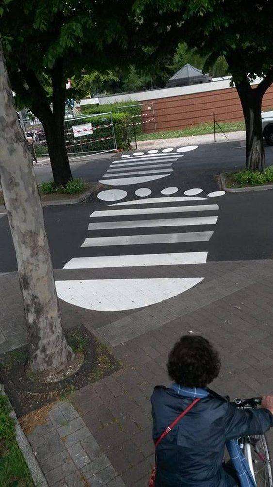 分析！斑马线和斑马有什么关系“冰清水冷”