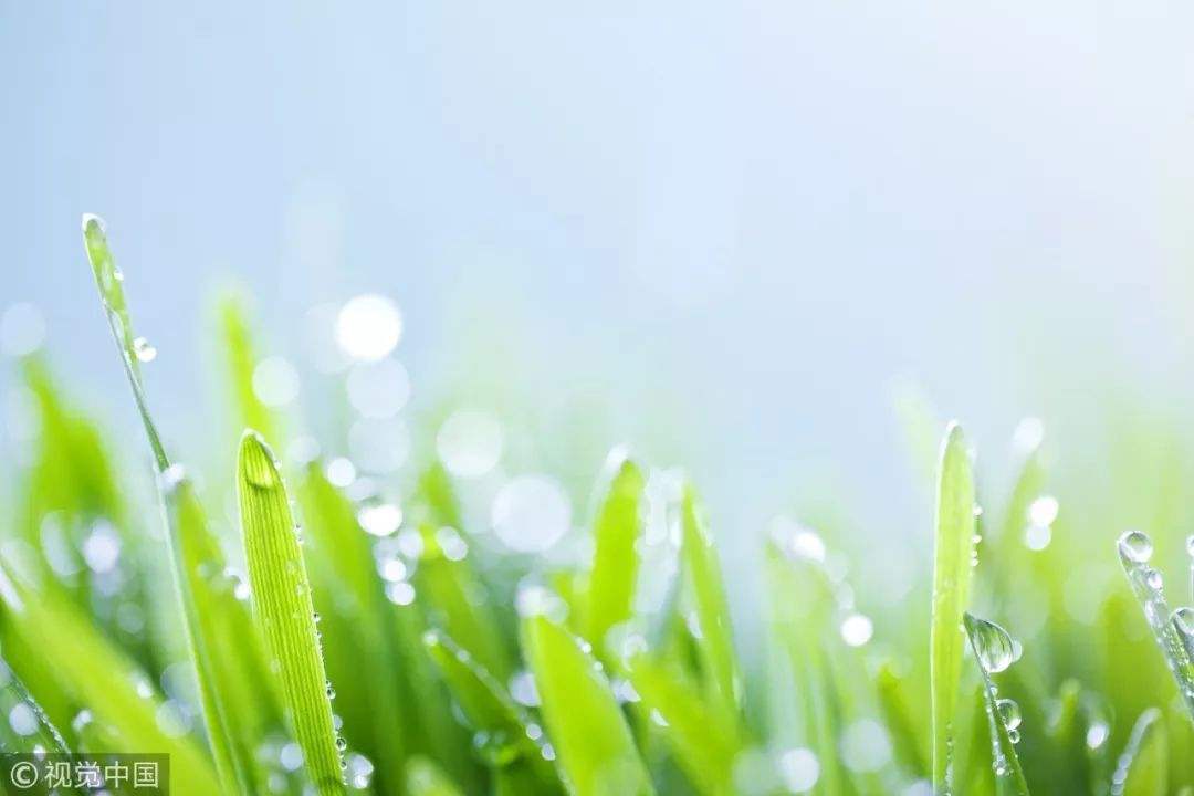 达人分享！器大活好是怎样的感觉“雁过留声”