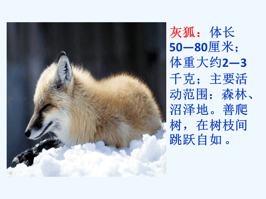 分析！白狐mail大盗