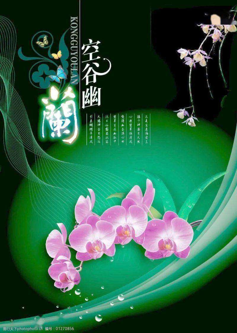 分析！127号文“空谷幽兰”