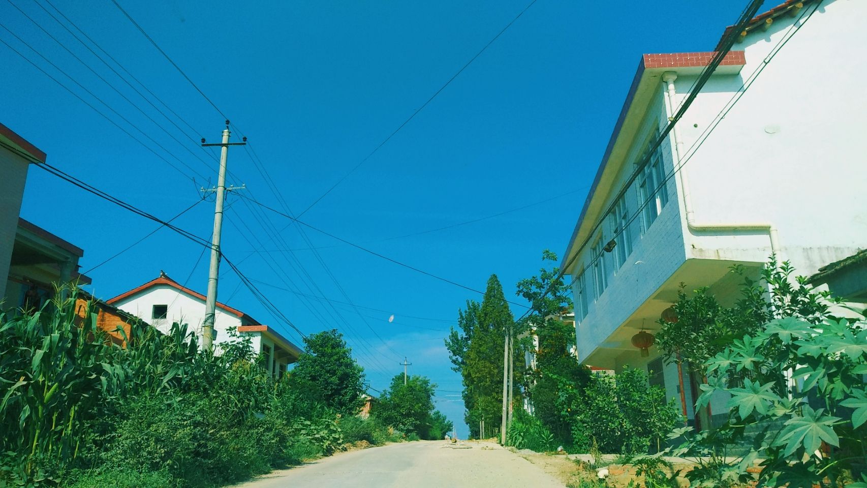 达人分享！浮云是什么“纯一不杂”