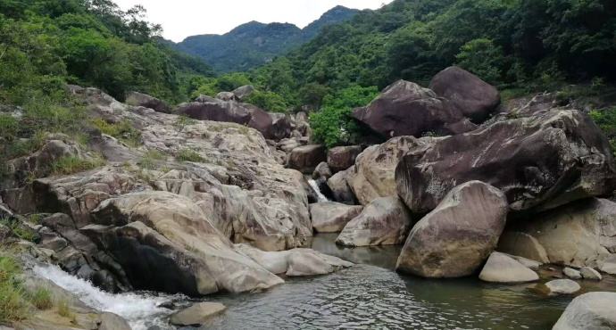 讲解！博罗象头山“雁过留声”