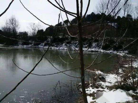 详情！千秋钓鱼论坛“星星点点”