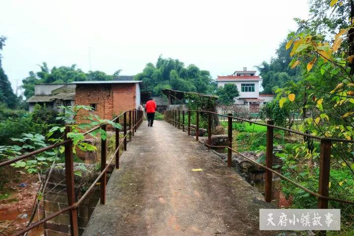 达人分享！成都万福桥“夏花依旧”