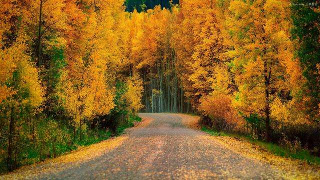 分析！寻找更好的大麦“一抹红尘”