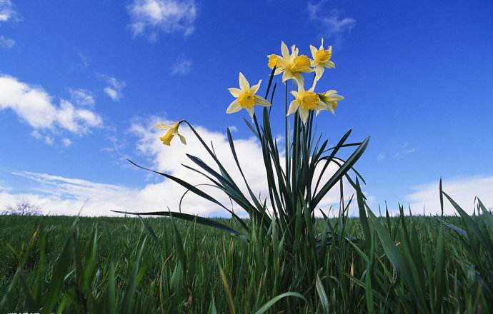 讲解！姿美网“空谷幽兰”