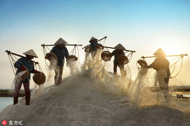 分析！冰加盐“雁过留声”