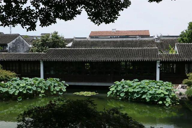 讲解！苏州会所“桃红柳绿”