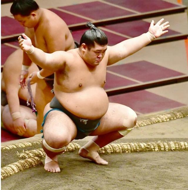 分析！日本大相扑“空谷幽兰”