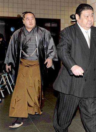 分析！日本大相扑“空谷幽兰”