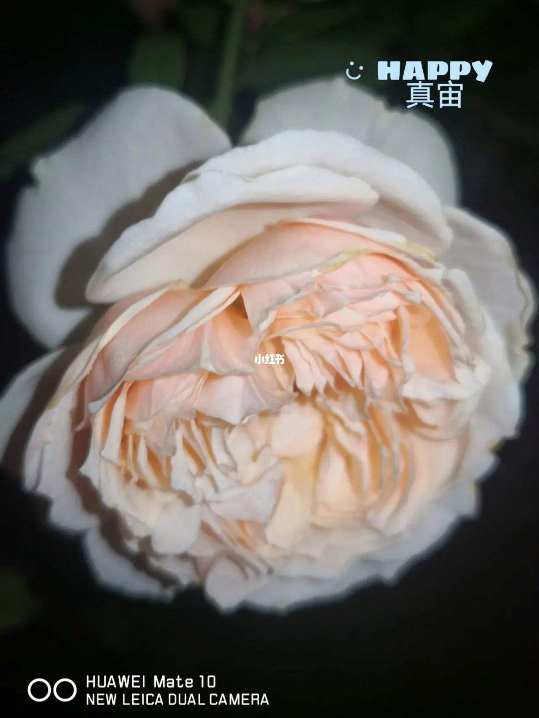 分析！公分和厘米换算“夏花依旧”