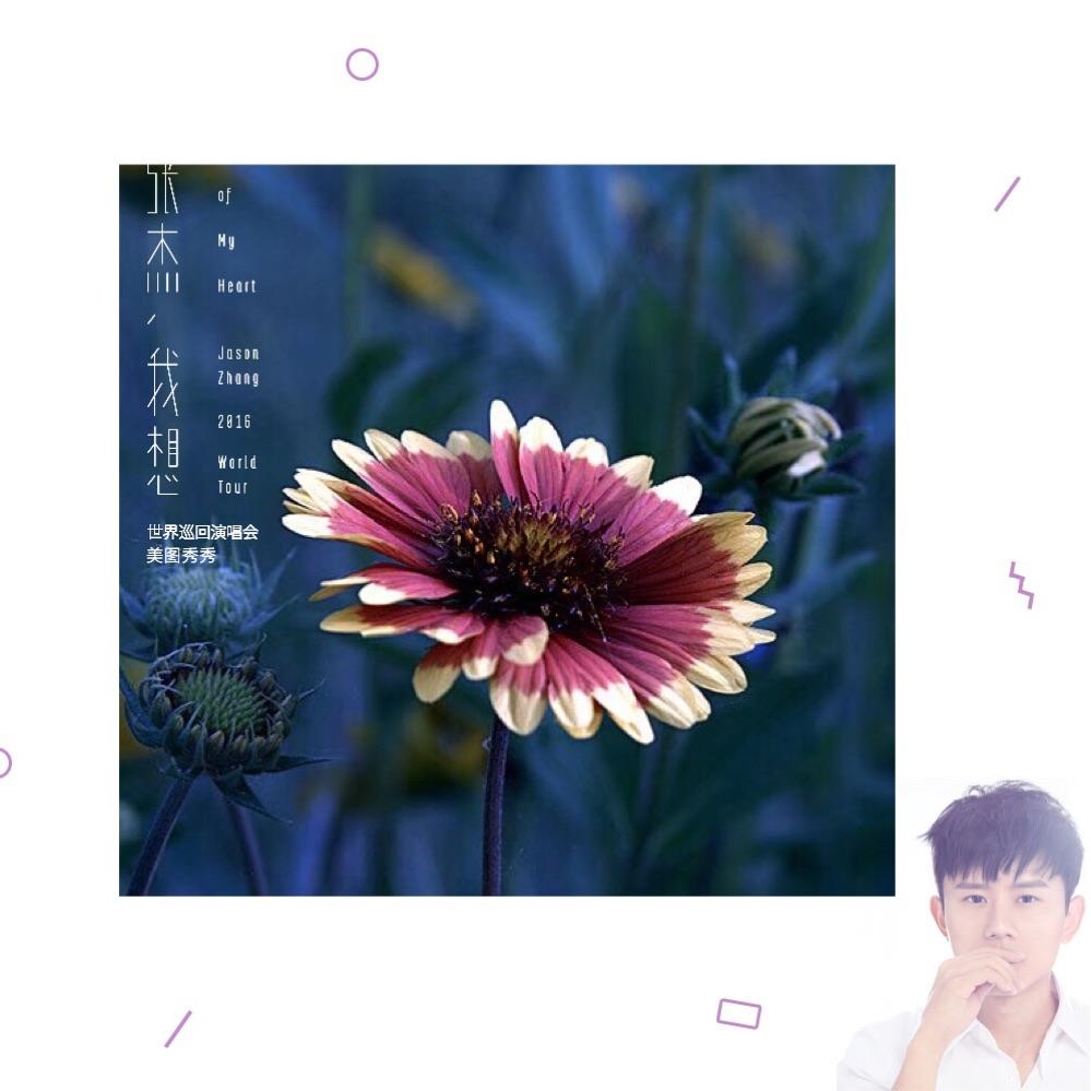 分析！公分和厘米换算“夏花依旧”