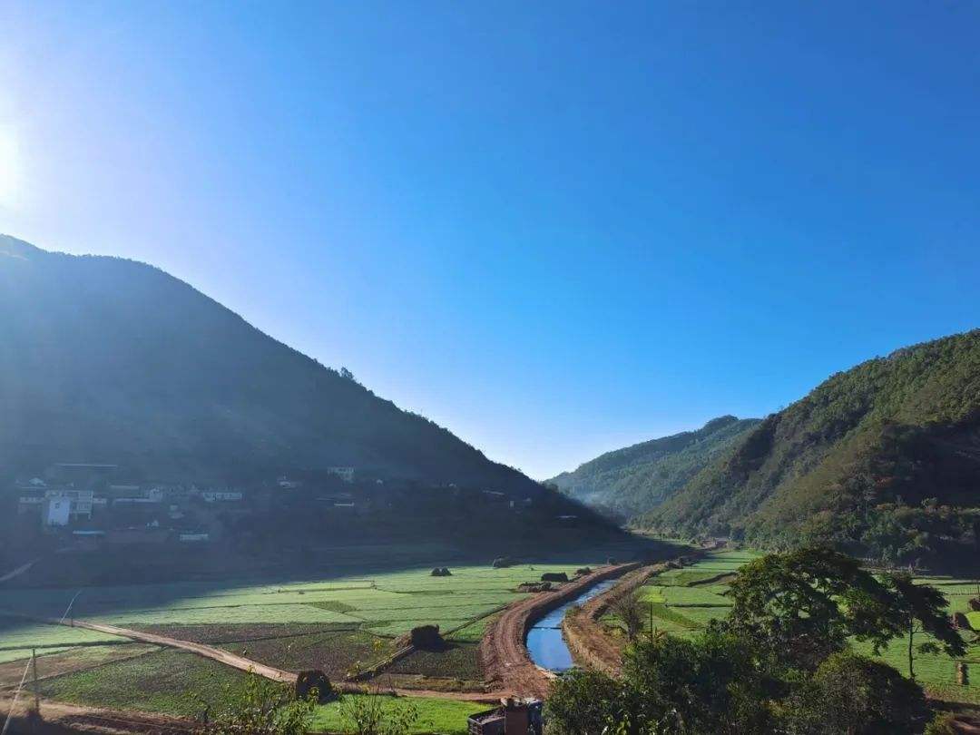 分析！大春是几月几号2021年几点“夏花依旧”