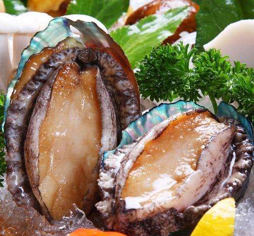 分析！吃鲍鱼主要吃头还是足